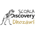 Scoala Discovery deschide 